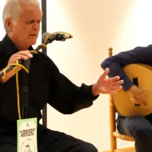 Alfonso Salmerón por seguiriyas